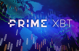 Mastering the Art of Investing Copy Trading PrimeXBT Mastering the Art of Investing Copy Trading PrimeXBT